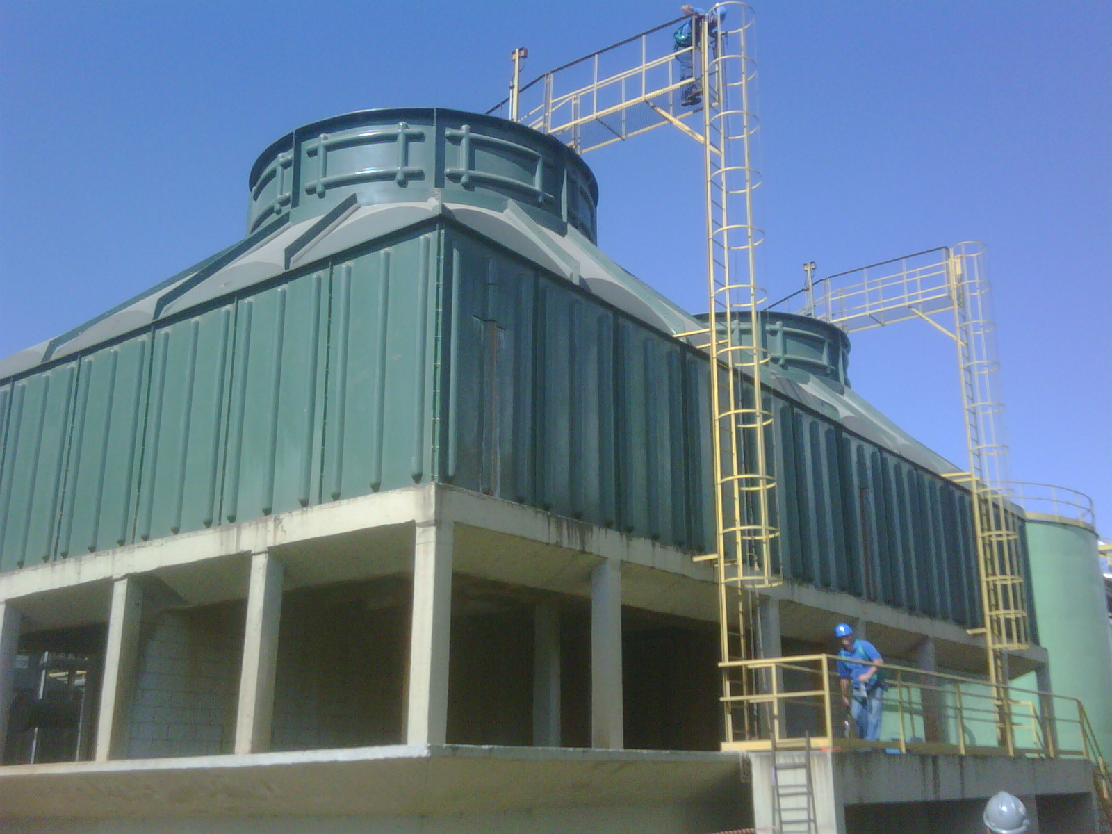 IMG00335 20100310 1515